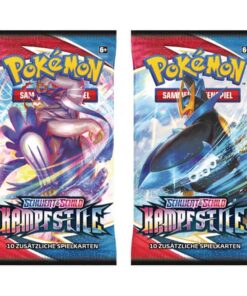 Pokémon Schwert und Schild Kampfregionsanzeige